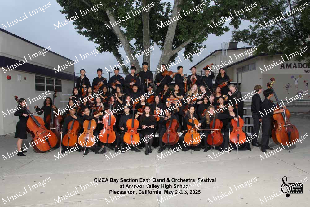 Musical Images